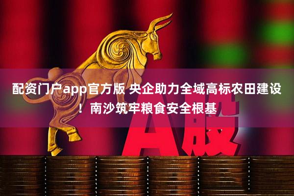 配资门户app官方版 央企助力全域高标农田建设！南沙筑牢粮食安全根基