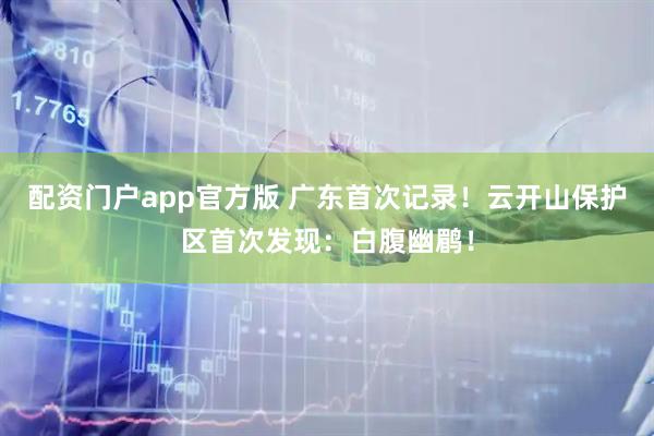 配资门户app官方版 广东首次记录!云开山保护区首次发现:白腹幽鹛!