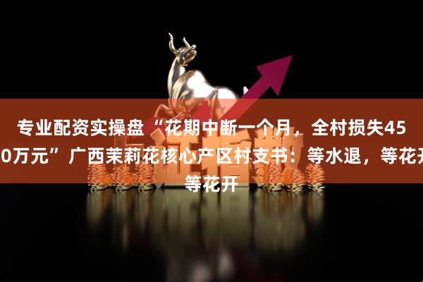 专业配资实操盘 “花期中断一个月,全村损失4500万元” 广西茉莉花核心产区村支书:等水退,等花开