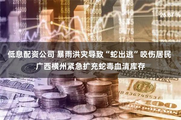 低息配资公司 暴雨洪灾导致“蛇出逃”咬伤居民 广西横州紧急扩充蛇毒血清库存